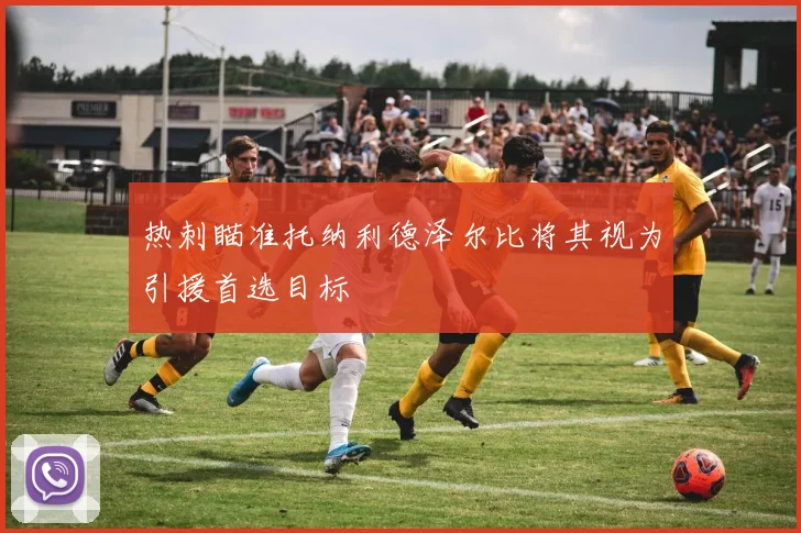 热刺瞄准托纳利德泽尔比将其视为引援首选目标
